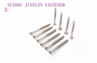 SS DECK SCREWS